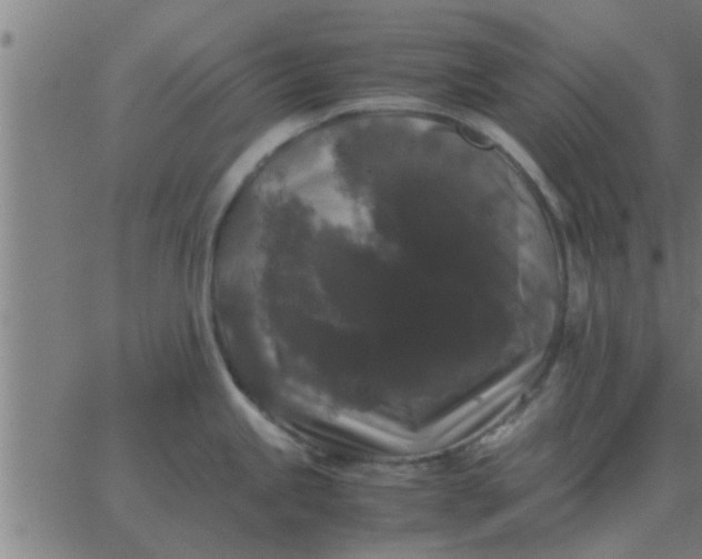 X0000062851245200601272033