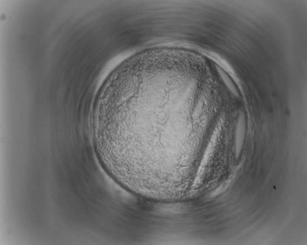 X0000062851247200601272033