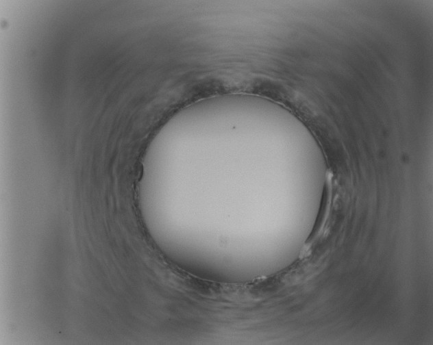 X0000062851249200601272033