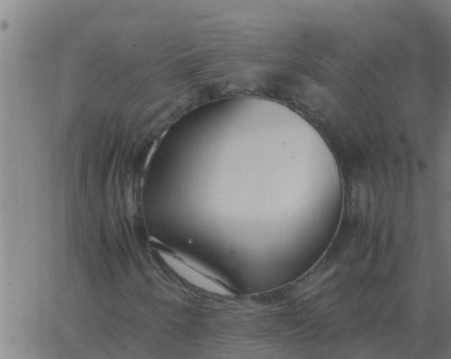 X0000062851250200601272033