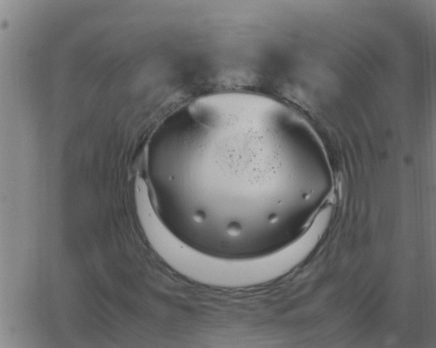 X0000062851251200601272032