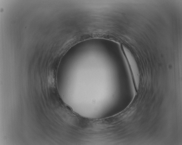 X0000062851252200601272032