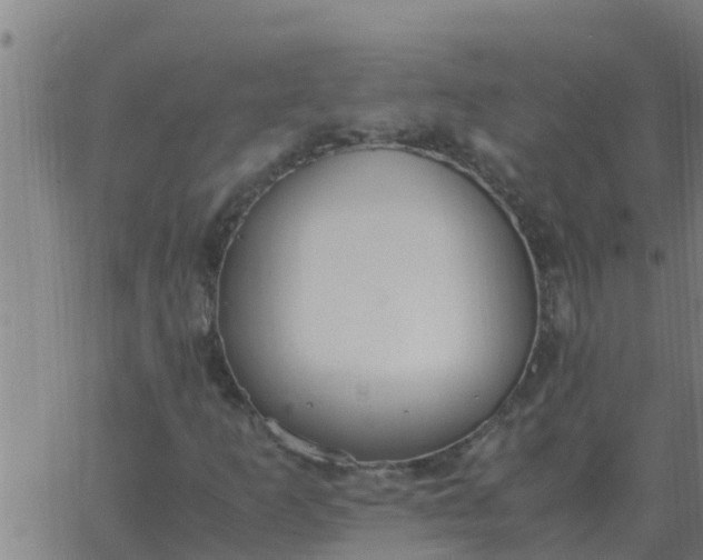 X0000062851253200601272032