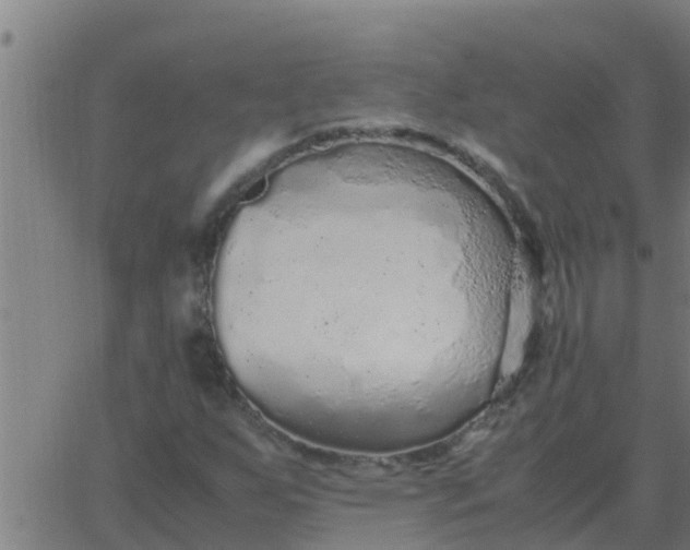 X0000062851255200601272032