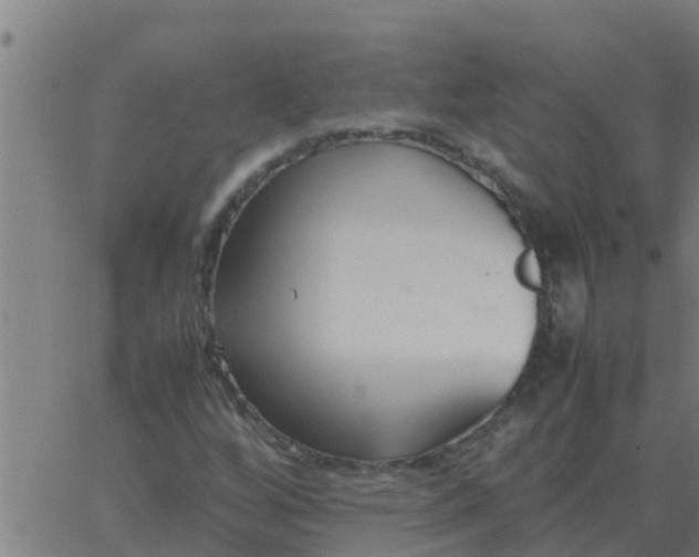 X0000062851256200601272032