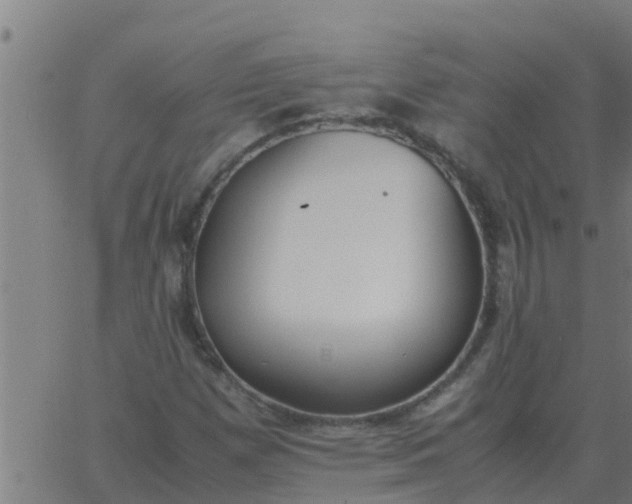 X0000062851257200601272032