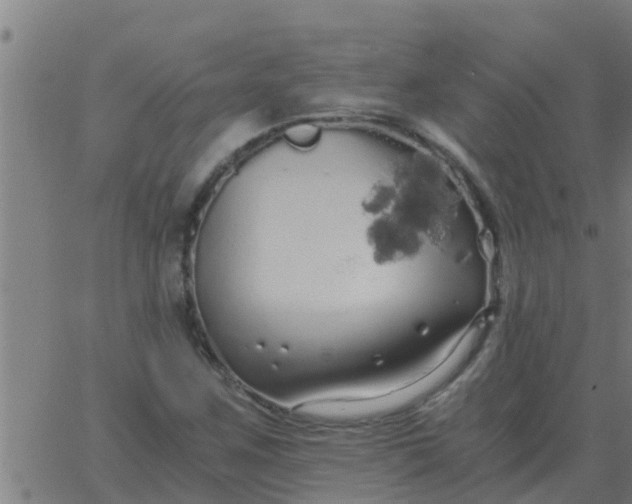 X0000062851259200601272032