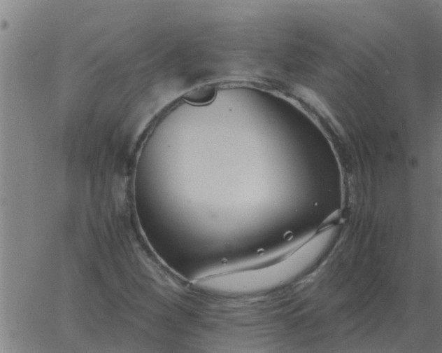 X0000062851260200601272032