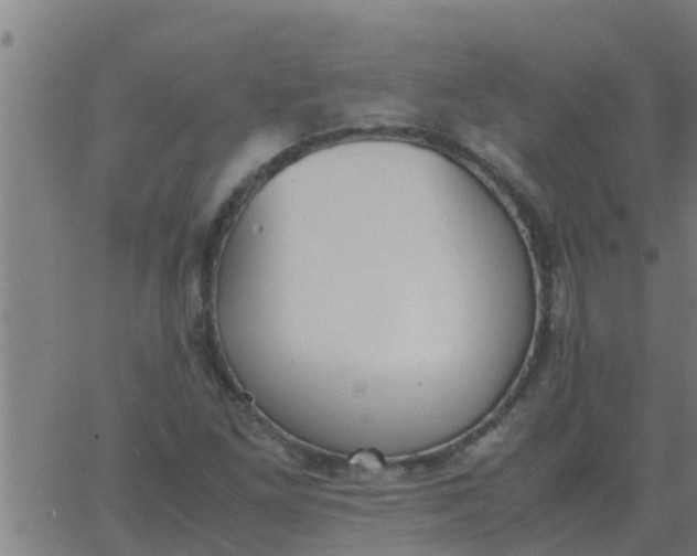 X0000062851261200601272032