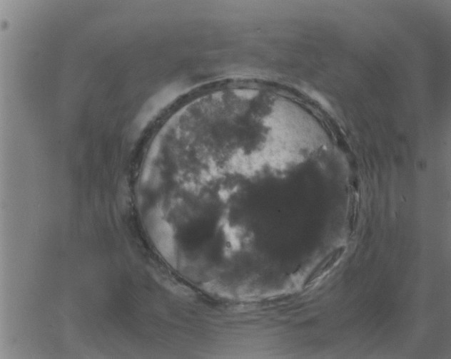 X0000062851263200601272032