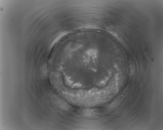 X0000062851266200601272032