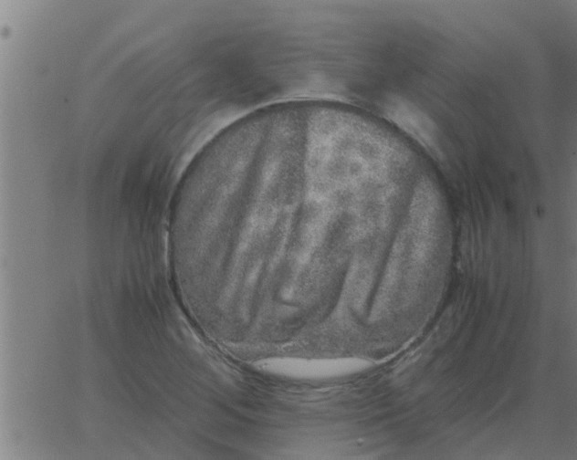 X0000062851268200601272032