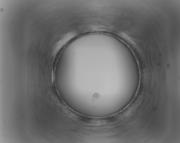 X0000062851269200601272032