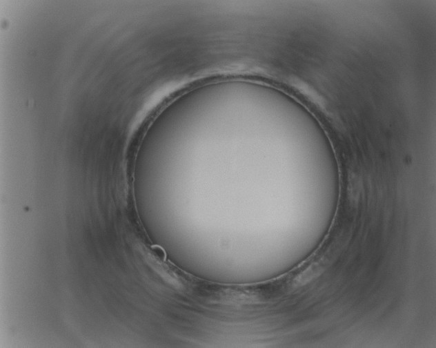 X0000062851270200601272032