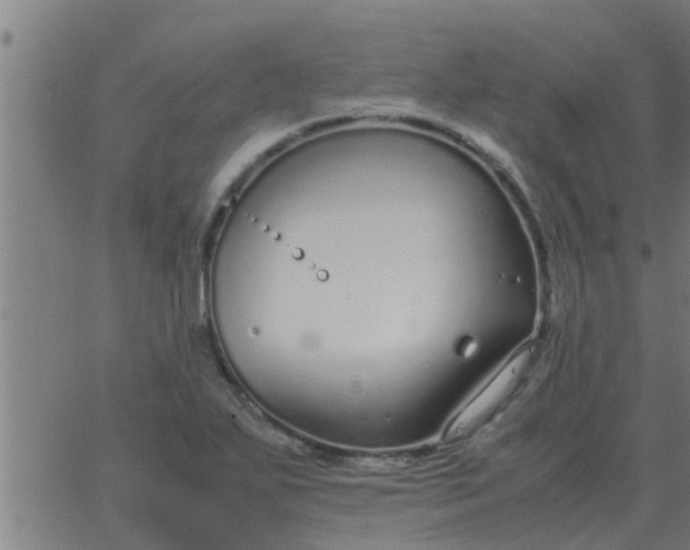 X0000062851271200601272032