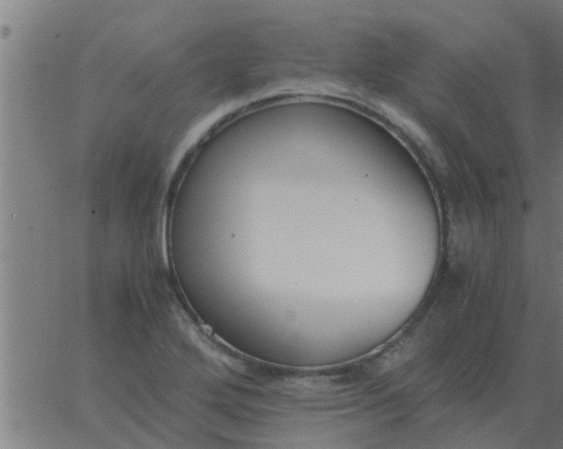 X0000062851272200601272032