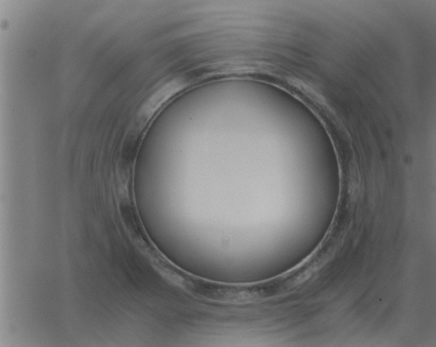 X0000062851273200601272032