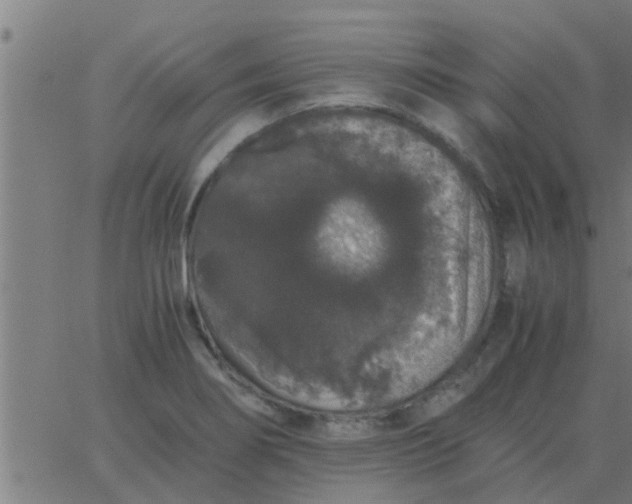 X0000062851274200601272032