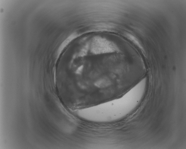 X0000062851275200601272032