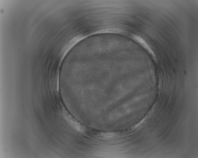 X0000062851276200601272032