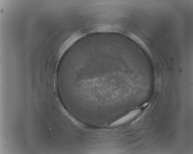 X0000062851277200601272032