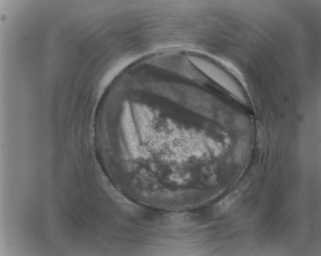 X0000062851279200601272032