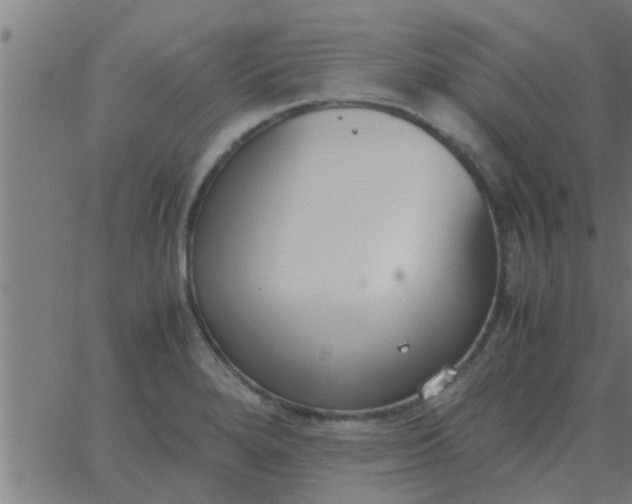 X0000062851280200601272032