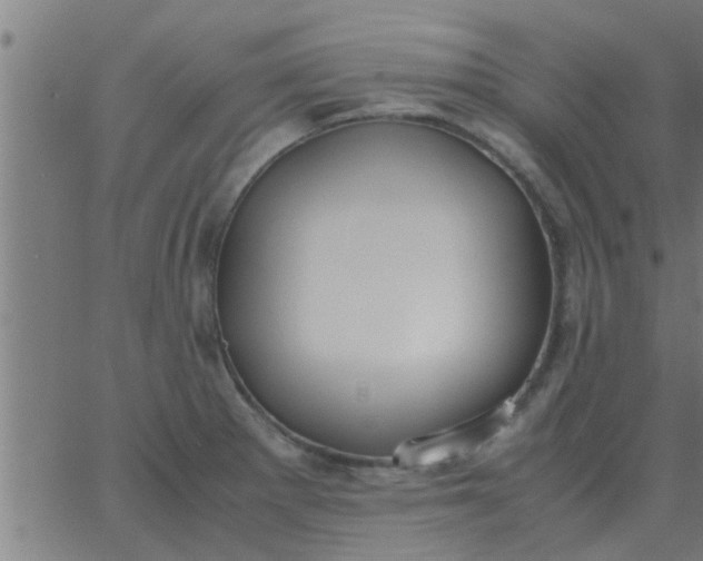 X0000062851281200601272032