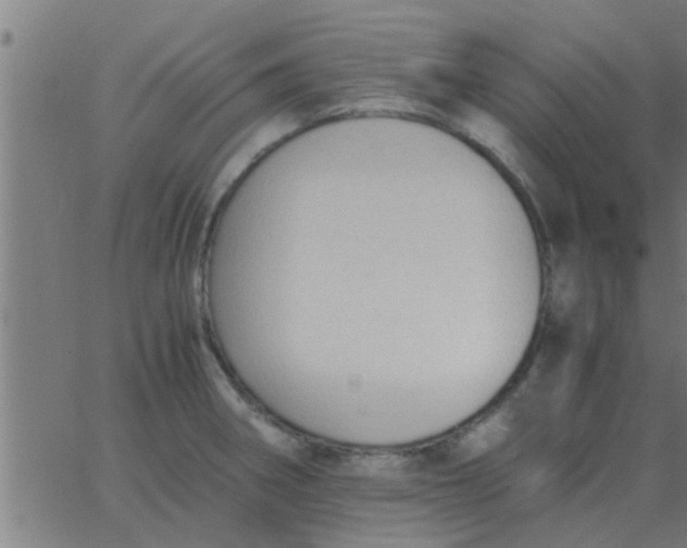 X0000062851282200601272032