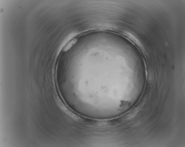 X0000062851283200601272032