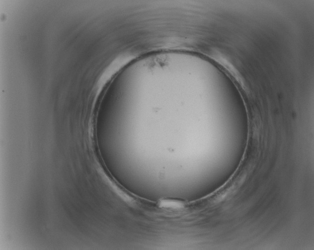 X0000062851285200601272032