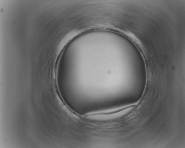 X0000062851287200601272032