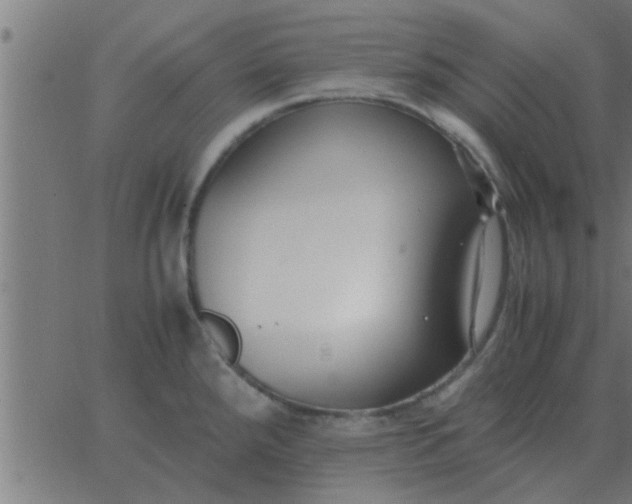 X0000062851288200601272032