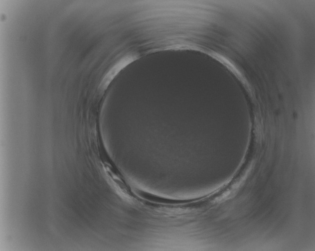 X0000062851289200601272032