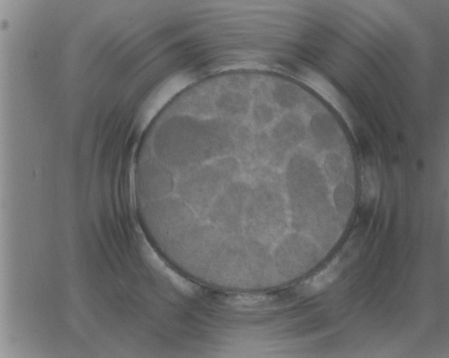 X0000062851290200601272032