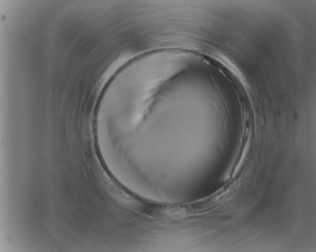 X0000062851291200601272032