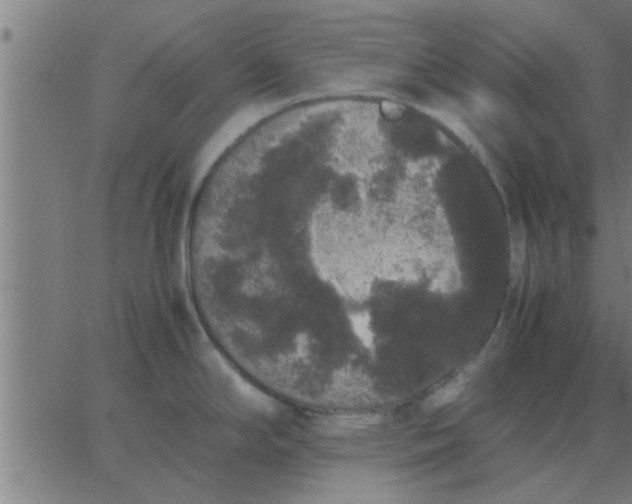 X0000062851294200601272032