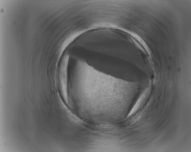 X0000062851295200601272032