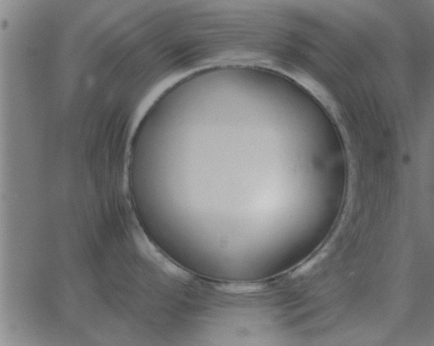 X0000062851296200601272032