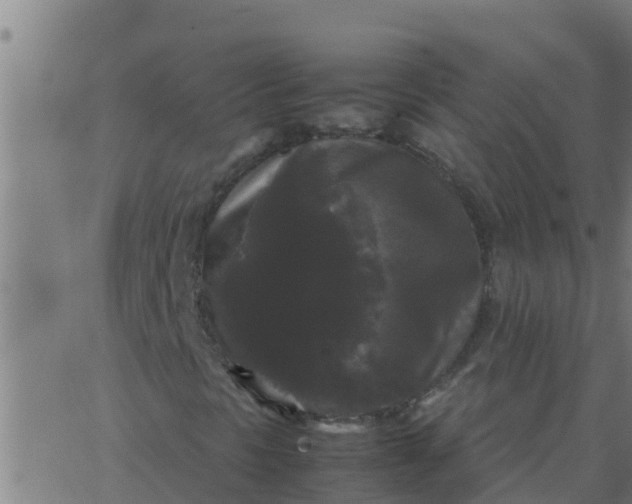 X0000062851297200601272031