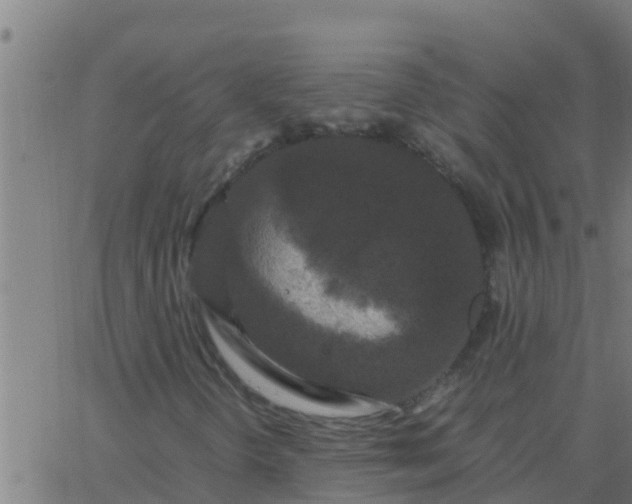 X0000062851298200601272031