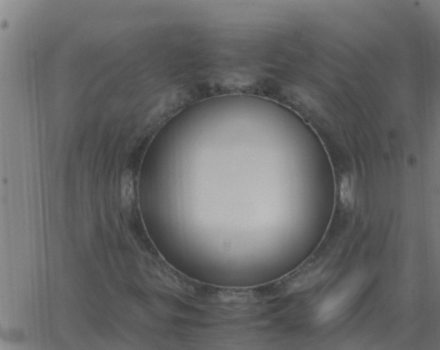 X0000062851299200601272031