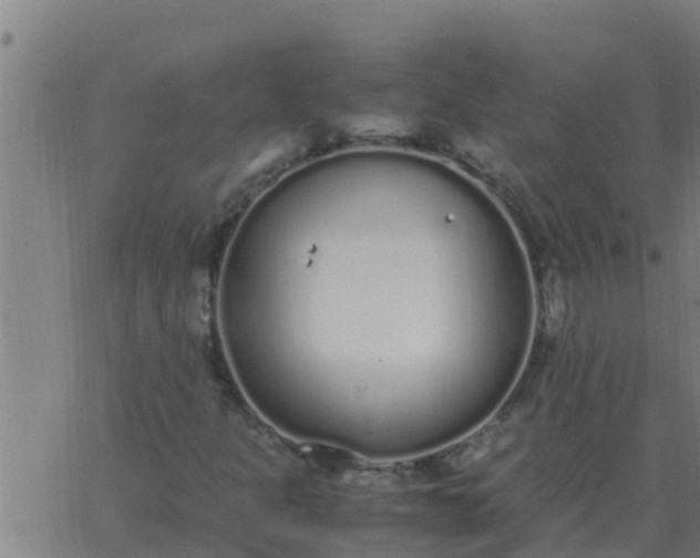 X0000062851301200601272031