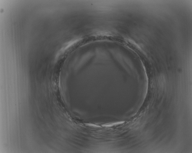 X0000062851303200601272031