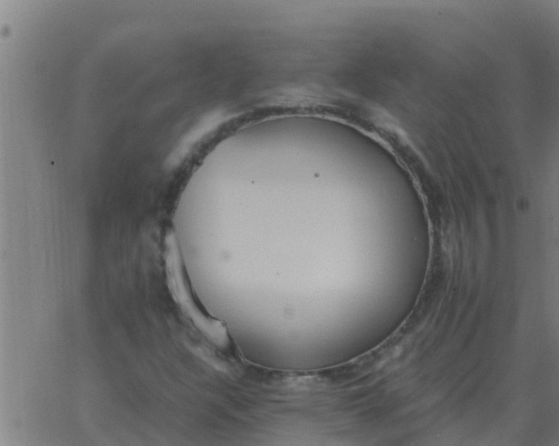 X0000062851304200601272031