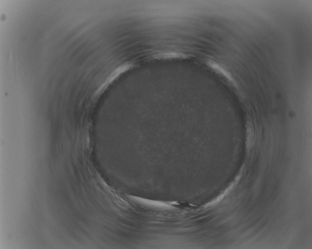 X0000062851305200601272031