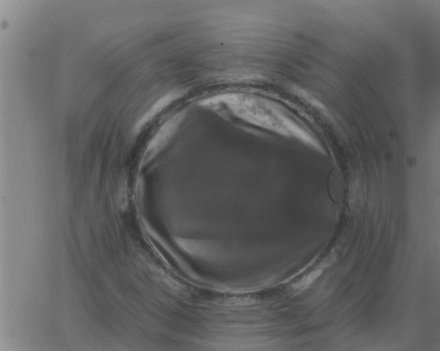 X0000062851306200601272031