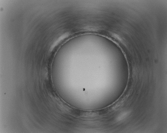 X0000062851307200601272031