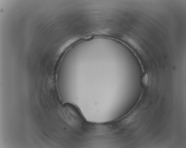 X0000062851308200601272031