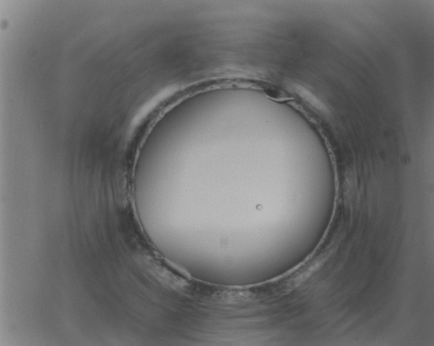 X0000062851310200601272031